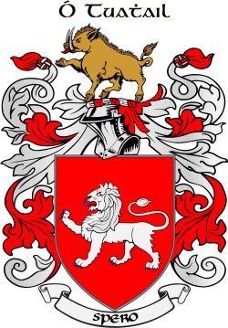 TOOLE family crest TOOLE family crest